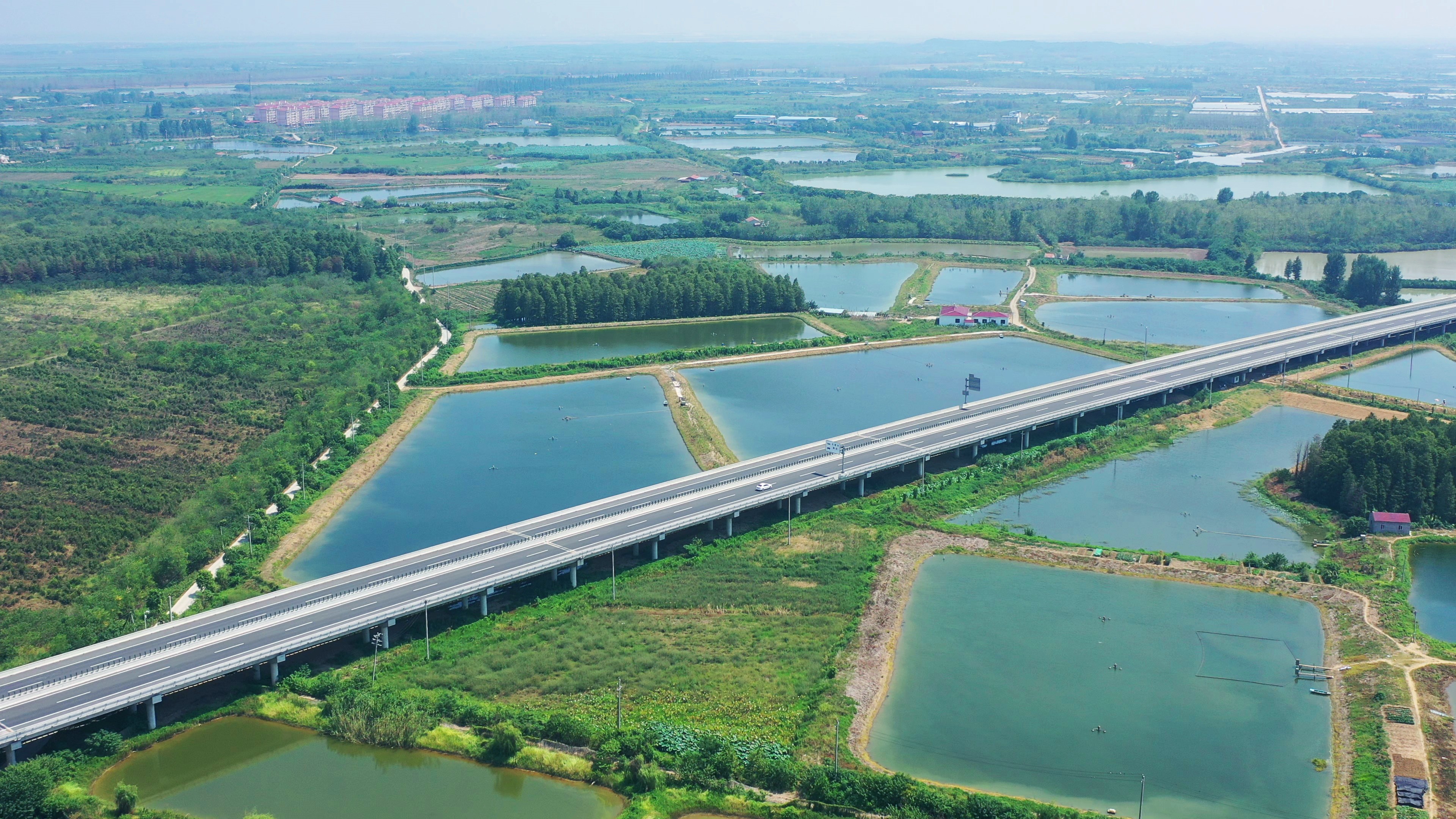 武汉硚口至孝感高速公路（湖北省市*示范工程金奖）.jpg